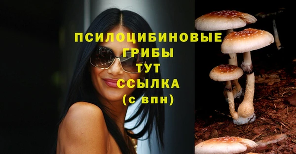 мдпв Майский