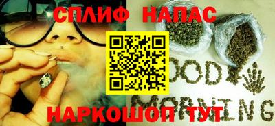 МДПВ Дубна