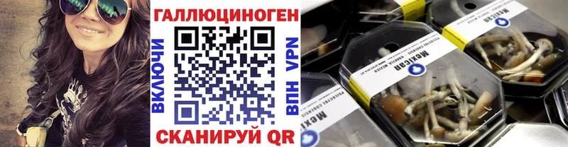Псилоцибиновые грибы Psilocybe  Октябрьский 