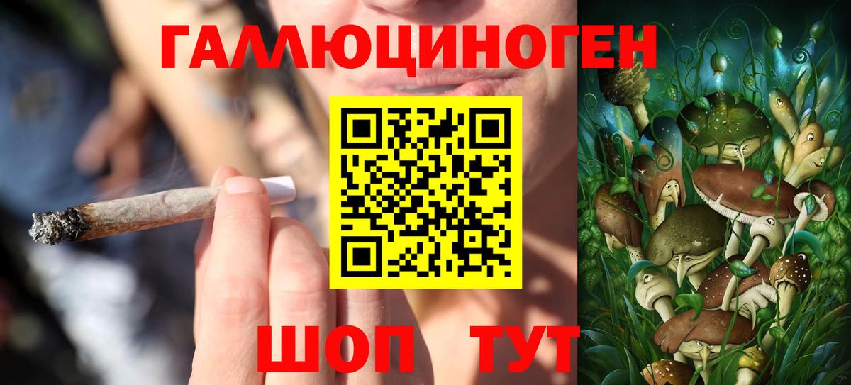 Галлюциногенные грибы Cubensis Октябрьский